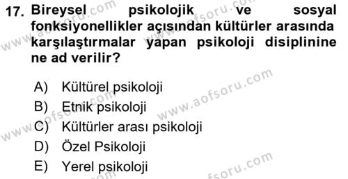 Sosyal Psikoloji 2 Dersi 2022 - 2023 Yılı Yaz Okulu Sınavı 17. Soru