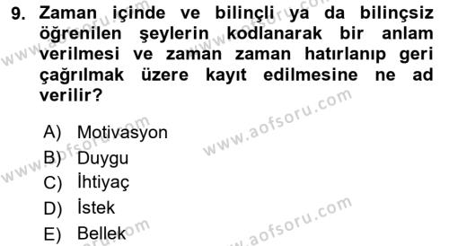 Tüketici Davranışları Dersi 2023 - 2024 Yılı Yaz Okulu Sınavı 9. Soru