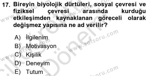 Tüketici Davranışları Dersi 2024 - 2025 Yılı (Vize) Ara Sınavı 17. Soru