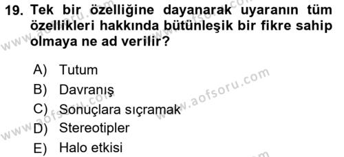 Tüketici Davranışları Dersi 2024 - 2025 Yılı (Vize) Ara Sınavı 19. Soru