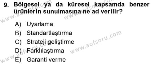 Uluslararası Pazarlama Dersi 2020 - 2021 Yılı Yaz Okulu Sınavı 9. Soru