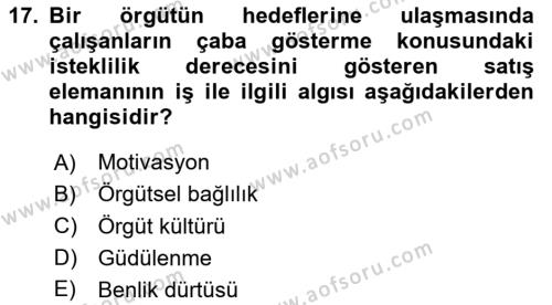 Satış Yönetimi Dersi 2022 - 2023 Yılı (Vize) Ara Sınavı 17. Soru