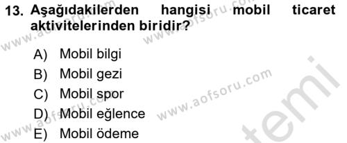 İnternet Ve Mobil Pazarlama Dersi 2021 - 2022 Yılı Yaz Okulu Sınavı 13. Soru