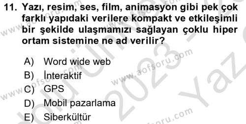 İnternet Ve Mobil Pazarlama Dersi 2023 - 2024 Yılı Yaz Okulu Sınavı 11. Soru