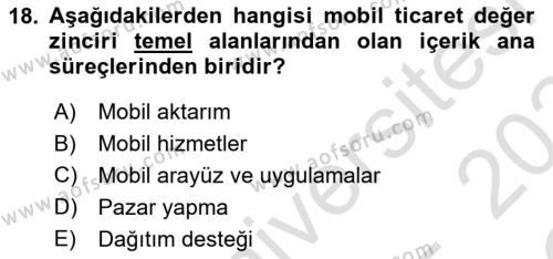 İnternet Ve Mobil Pazarlama Dersi 2023 - 2024 Yılı Yaz Okulu Sınavı 18. Soru