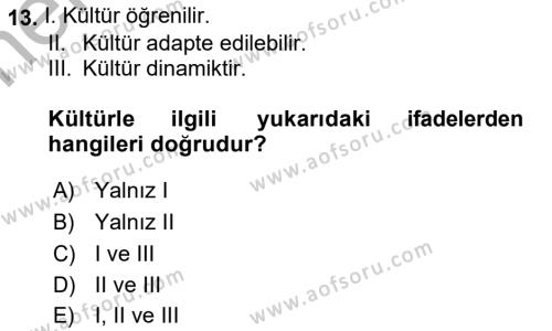 Küresel Pazarlama Dersi 2018 - 2019 Yılı (Vize) Ara Sınavı 13. Soru