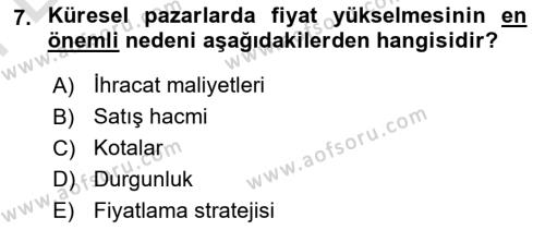 Küresel Pazarlama Dersi 2023 - 2024 Yılı (Final) Dönem Sonu Sınavı 7. Soru