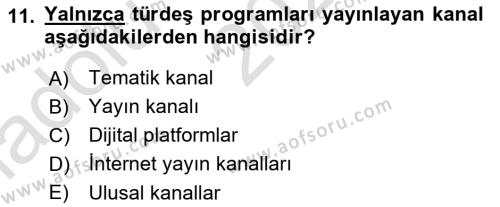 Radyo ve Televizyon Programcılığının Temel Kavramları Dersi 2024 - 2025 Yılı (Vize) Ara Sınavı 11. Soru