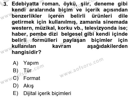 Radyo ve Televizyon Programcılığının Temel Kavramları Dersi 2024 - 2025 Yılı (Vize) Ara Sınavı 3. Soru