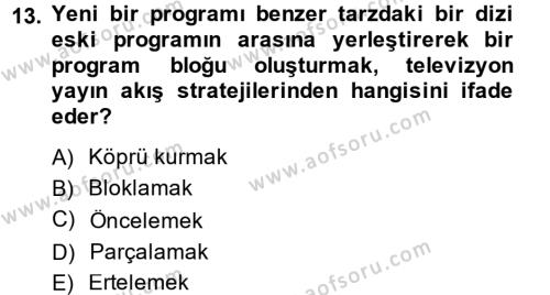 Radyo ve Televizyonda Program Yapımı Dersi 2013 - 2014 Yılı (Vize) Ara Sınavı 13. Soru