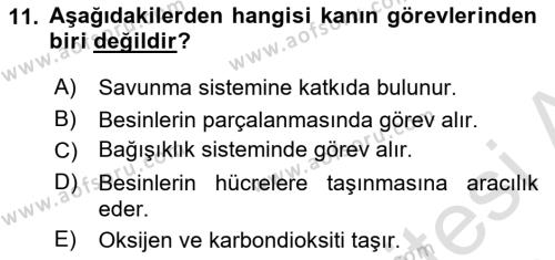 Temel İlk Yardım Bilgisi Dersi 2023 - 2024 Yılı (Vize) Ara Sınavı 11. Soru