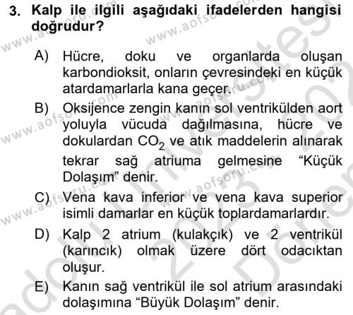 Temel Sağlık Ve Hastalık Bilgisi Dersi 2023 - 2024 Yılı (Final) Dönem Sonu Sınavı 3. Soru