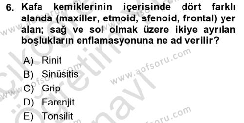 Temel Sağlık Ve Hastalık Bilgisi Dersi 2023 - 2024 Yılı Yaz Okulu Sınavı 6. Soru