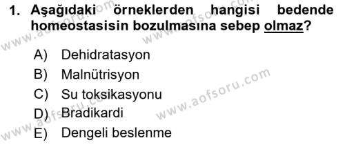 Temel Sağlık Ve Hastalık Bilgisi Dersi 2024 - 2025 Yılı (Vize) Ara Sınavı 1. Soru