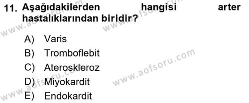 Temel Sağlık Ve Hastalık Bilgisi Dersi 2024 - 2025 Yılı (Vize) Ara Sınavı 11. Soru