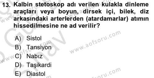 Temel Sağlık Ve Hastalık Bilgisi Dersi 2024 - 2025 Yılı (Vize) Ara Sınavı 13. Soru