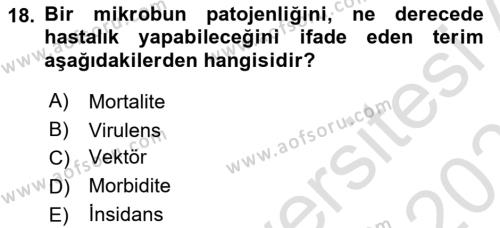 Hastalıklar Bilgisi Dersi 2021 - 2022 Yılı (Final) Dönem Sonu Sınavı 18. Soru