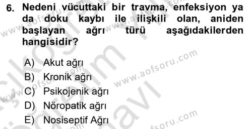 Sağlık Psikolojisi Dersi 2021 - 2022 Yılı Yaz Okulu Sınavı 6. Soru