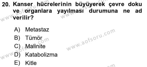 Sağlık Psikolojisi Dersi 2022 - 2023 Yılı Yaz Okulu Sınavı 20. Soru