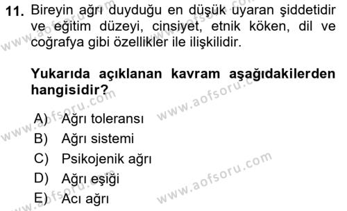 Sağlık Psikolojisi Dersi 2023 - 2024 Yılı (Vize) Ara Sınavı 11. Soru