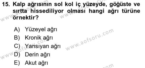 Sağlık Psikolojisi Dersi 2023 - 2024 Yılı (Vize) Ara Sınavı 15. Soru