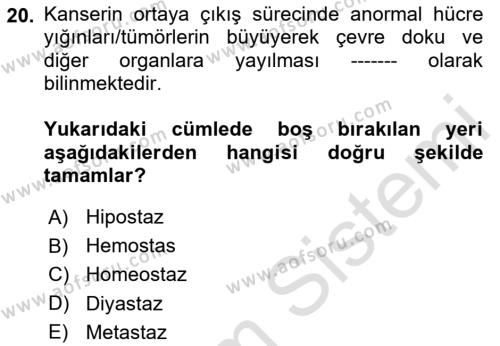 Sağlık Psikolojisi Dersi 2023 - 2024 Yılı (Final) Dönem Sonu Sınavı 20. Soru