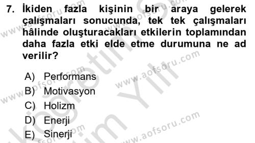 Sağlık İşletmelerinde Davranış Dersi 2021 - 2022 Yılı Yaz Okulu Sınavı 7. Soru