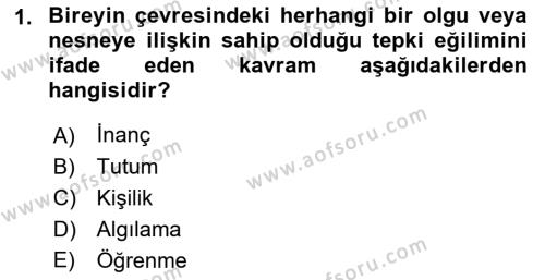 Sağlık İşletmelerinde Davranış Dersi 2022 - 2023 Yılı Yaz Okulu Sınavı 1. Soru