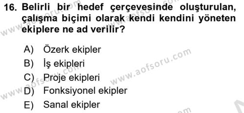 Sağlık İşletmelerinde Yönetim Dersi 2021 - 2022 Yılı (Final) Dönem Sonu Sınavı 16. Soru