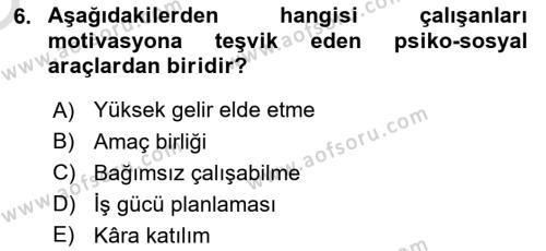 Sağlık İşletmelerinde Yönetim Dersi 2021 - 2022 Yılı Yaz Okulu Sınavı 6. Soru