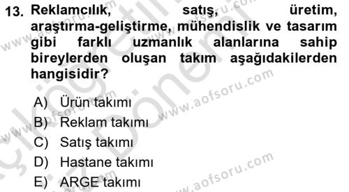 Sağlık İşletmelerinde Yönetim Dersi 2022 - 2023 Yılı (Vize) Ara Sınavı 13. Soru