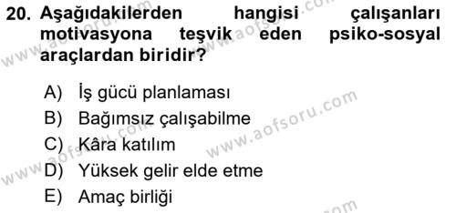 Sağlık İşletmelerinde Yönetim Dersi 2023 - 2024 Yılı (Vize) Ara Sınavı 20. Soru