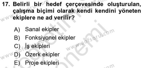 Sağlık İşletmelerinde Yönetim Dersi 2023 - 2024 Yılı (Final) Dönem Sonu Sınavı 17. Soru