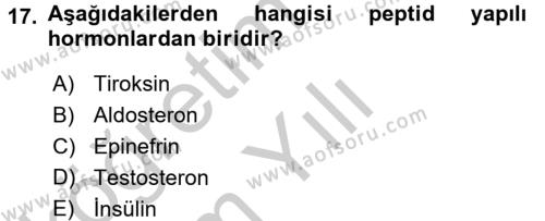 İnsan Beden Yapısı Ve Fizyolojisi Dersi 2016 - 2017 Yılı 3 Ders Sınavı 17. Soru