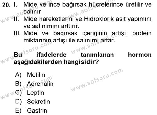 İnsan Beden Yapısı Ve Fizyolojisi Dersi 2018 - 2019 Yılı 3 Ders Sınavı 20. Soru