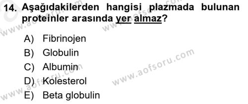 İnsan Beden Yapısı Ve Fizyolojisi Dersi 2018 - 2019 Yılı (Vize) Ara Sınavı 14. Soru