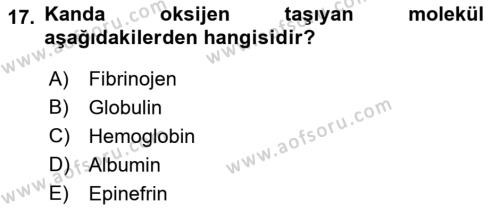 İnsan Beden Yapısı Ve Fizyolojisi Dersi 2018 - 2019 Yılı (Vize) Ara Sınavı 17. Soru