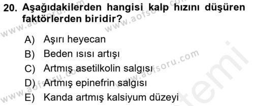 İnsan Beden Yapısı Ve Fizyolojisi Dersi 2018 - 2019 Yılı (Vize) Ara Sınavı 20. Soru