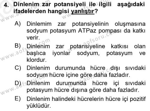 İnsan Beden Yapısı Ve Fizyolojisi Dersi 2018 - 2019 Yılı (Vize) Ara Sınavı 4. Soru