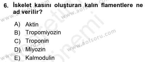 İnsan Beden Yapısı Ve Fizyolojisi Dersi 2018 - 2019 Yılı (Vize) Ara Sınavı 6. Soru