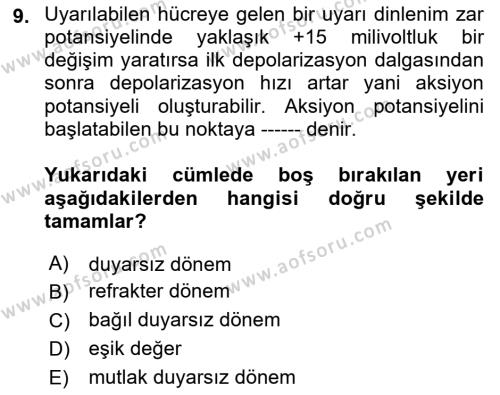 İnsan Beden Yapısı Ve Fizyolojisi Dersi 2018 - 2019 Yılı (Vize) Ara Sınavı 9. Soru