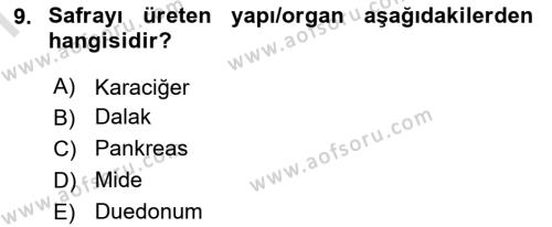 İnsan Beden Yapısı Ve Fizyolojisi Dersi 2019 - 2020 Yılı (Final) Dönem Sonu Sınavı 9. Soru