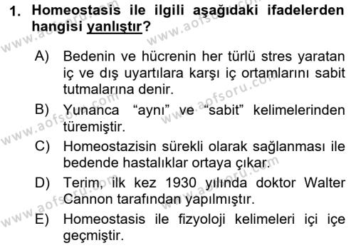 İnsan Beden Yapısı Ve Fizyolojisi Dersi 2022 - 2023 Yılı Yaz Okulu Sınavı 1. Soru