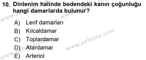 İnsan Beden Yapısı Ve Fizyolojisi Dersi 2022 - 2023 Yılı Yaz Okulu Sınavı 10. Soru