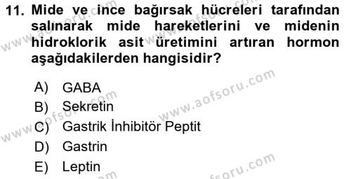 İnsan Beden Yapısı Ve Fizyolojisi Dersi 2022 - 2023 Yılı Yaz Okulu Sınavı 11. Soru