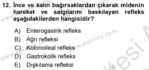 İnsan Beden Yapısı Ve Fizyolojisi Dersi 2022 - 2023 Yılı Yaz Okulu Sınavı 12. Soru