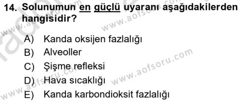 İnsan Beden Yapısı Ve Fizyolojisi Dersi 2022 - 2023 Yılı Yaz Okulu Sınavı 14. Soru