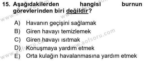 İnsan Beden Yapısı Ve Fizyolojisi Dersi 2022 - 2023 Yılı Yaz Okulu Sınavı 15. Soru