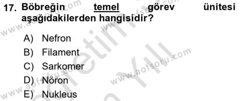 İnsan Beden Yapısı Ve Fizyolojisi Dersi 2022 - 2023 Yılı Yaz Okulu Sınavı 17. Soru