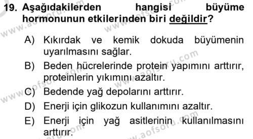 İnsan Beden Yapısı Ve Fizyolojisi Dersi 2022 - 2023 Yılı Yaz Okulu Sınavı 19. Soru